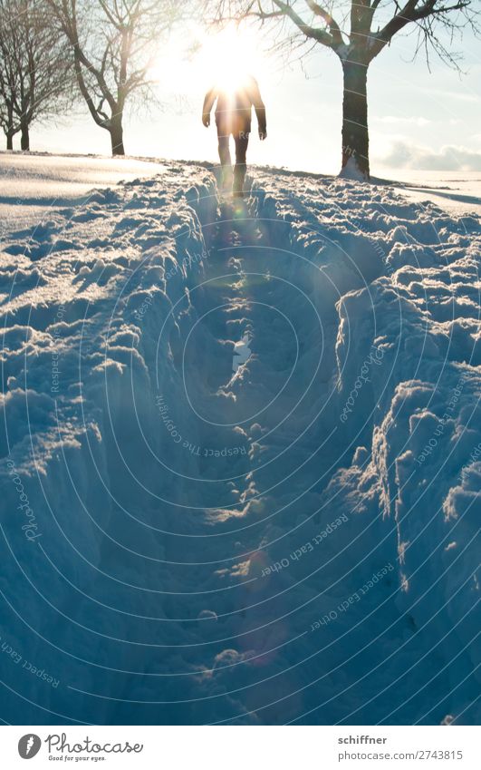 Towards the sun II Human being Masculine 1 Environment Nature Landscape Winter Beautiful weather Ice Frost Snow Tree Going Deep snow Snowscape Snow layer