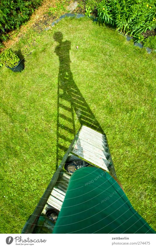 On top of the ladder Ladder Environment Nature Plant Summer Flower Blossom Garden Park Meadow Wall (barrier) Wall (building) Good Sewing thread Sky Garden plot