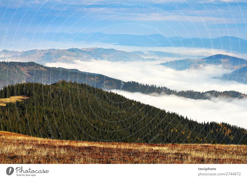 fog over the mountains and valleys Beautiful Vacation & Travel Tourism Adventure Mountain Hiking Environment Nature Landscape Sky Clouds Weather Fog Park Forest