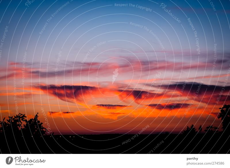 cloud atmosphere Sun Sky Clouds Sunrise Sunset Beautiful weather Dark Warmth Blue Violet Orange Red Black Play of colours Colour photo Exterior shot Twilight