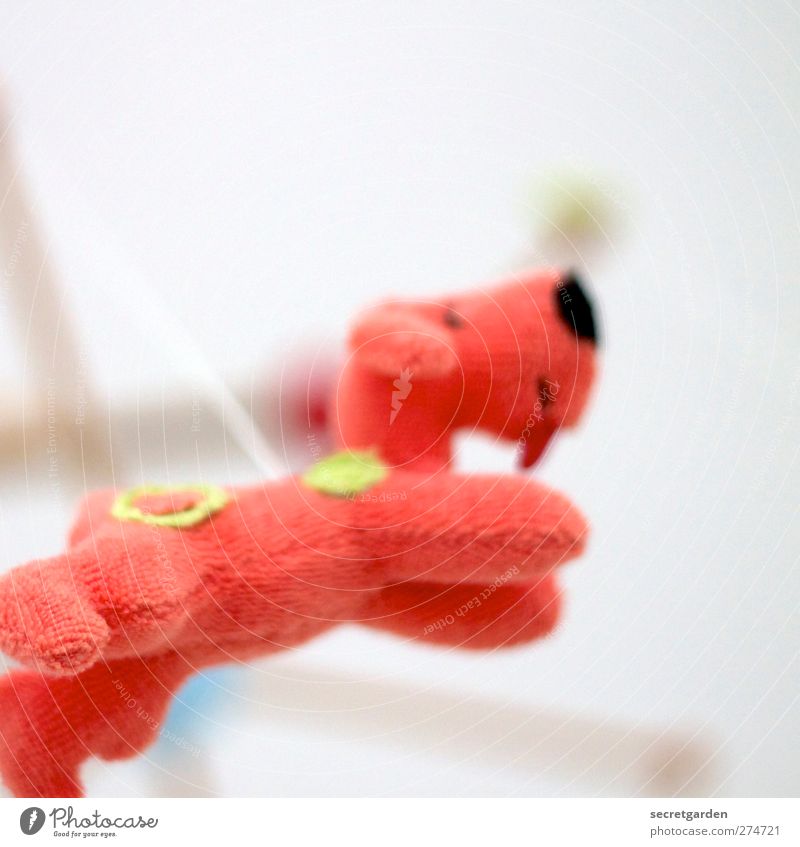 today there are flying terrycloth dogs! Children's game Living or residing Flat (apartment) Room Animal Dog Toys Cuddly toy Decoration Flying Hang Free Bright
