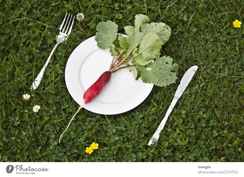Radish diet: A radish on a white plate with a knife and fork in a meadow Food Vegetable Lettuce Salad Nutrition Breakfast Dinner Picnic Vegetarian diet Diet