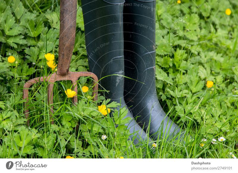 Old Garden Fork and Rubber Boots with Weeds and Wild Flowers Leisure and hobbies Gardening Nature Plant Grass Leaf Meadow Rust Yellow Green White