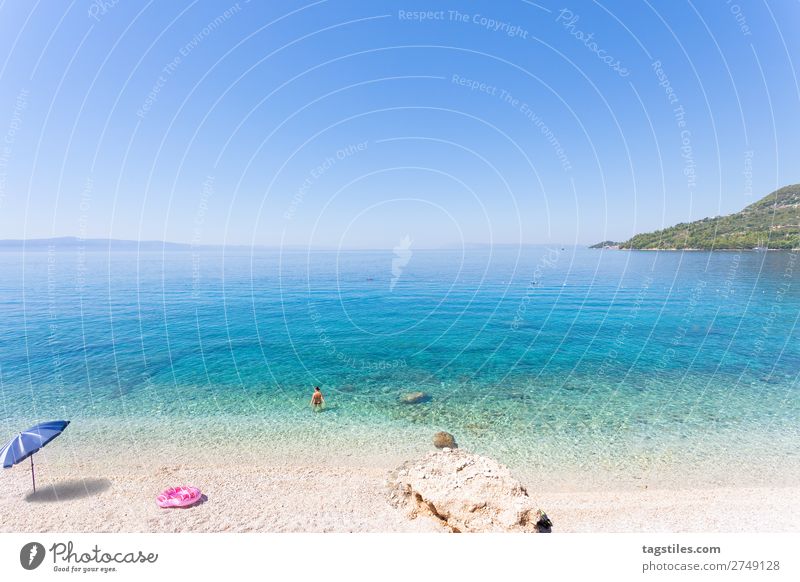 Drasnice, Dalmatia, Croatia, Europe Adriatic Sea Swimming & Bathing Bay Beach Calm Cloudless sky Coast Horizon Idyll Landscape Beautiful Mediterranean sea