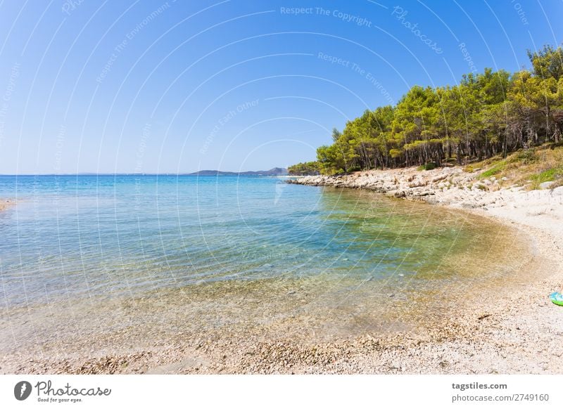 PINE BEACH, PAKOSTANE, CROATIA Adriatic Sea Swimming & Bathing Bay Beach Calm Camping Cloudless sky Coast Croatia Gorgeous Infinity Gravel Sand