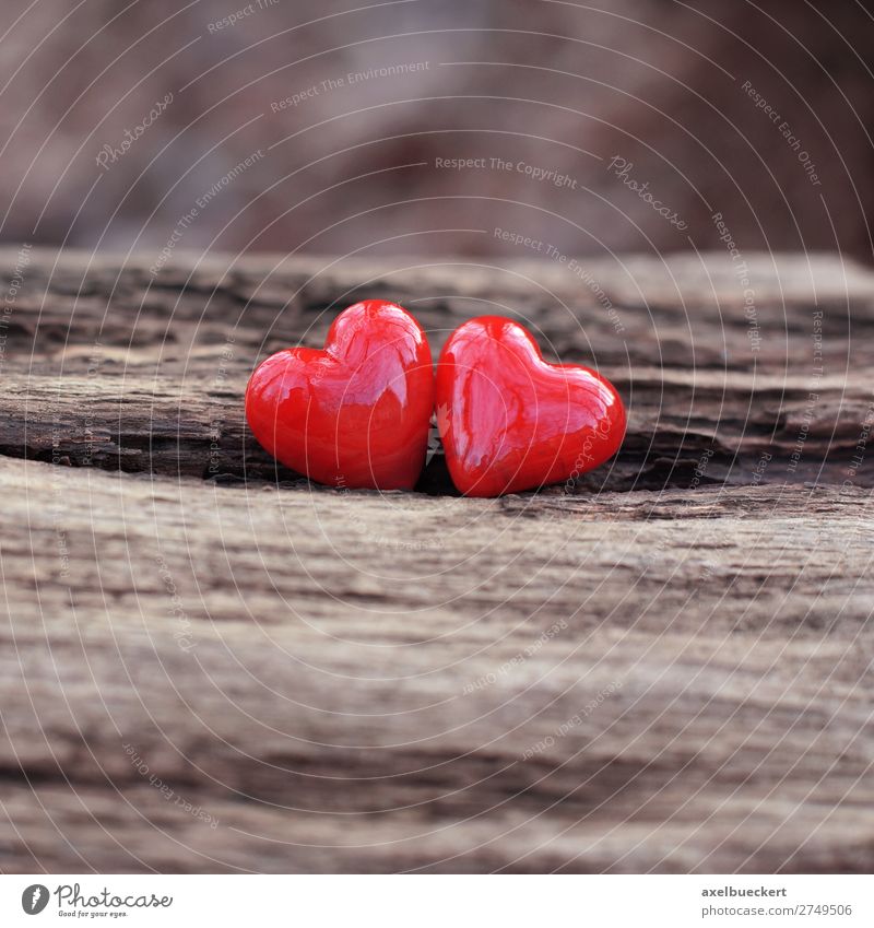 Two hearts for Valentine's Day Wedding Nature Love Spring fever Symbols and metaphors 2 Together Heart Heart-shaped Red Pottery Wood In pairs Betrothal Romance