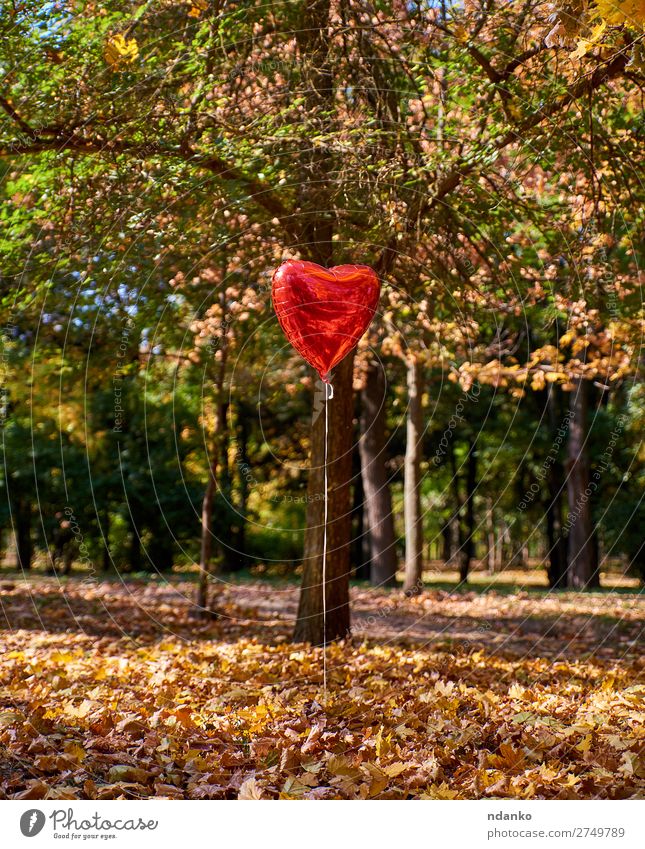 red balloon flies in the autumn park Garden Nature Landscape Plant Autumn Tree Park Meadow Forest Balloon Heart To fall Flying Love Natural Yellow Green Red
