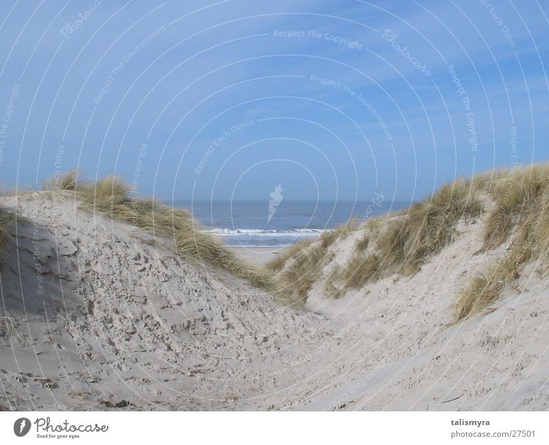 beach dunes Beach Denmark North Sea Beach dune Sand