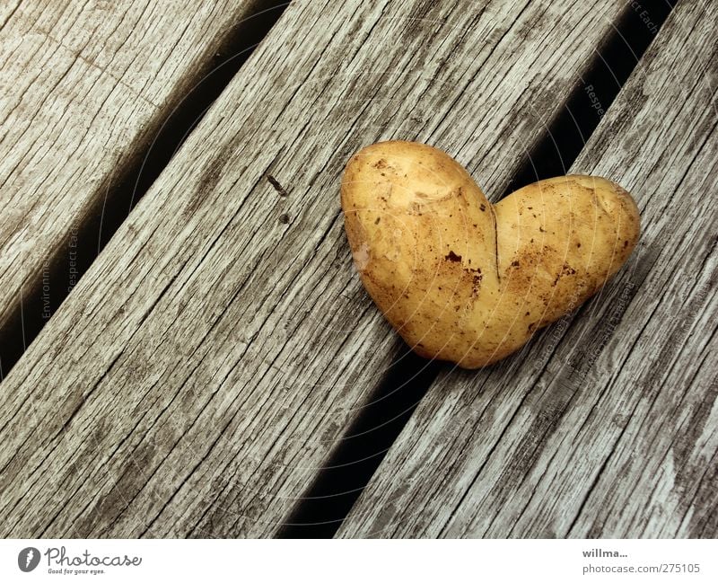 heart-shaped potato - potato heart Heart Valentine's Day Mother's Day Birthday Infatuation Romance Love Symbols and metaphors Sincere Organic produce vegetarian