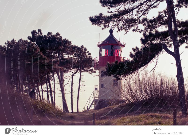Hiddensee feel it Environment Nature Landscape Coast Baltic Sea Red Lighthouse Dusk Moody Romance Loneliness Lamp Manmade structures Pine Dune Vantage point