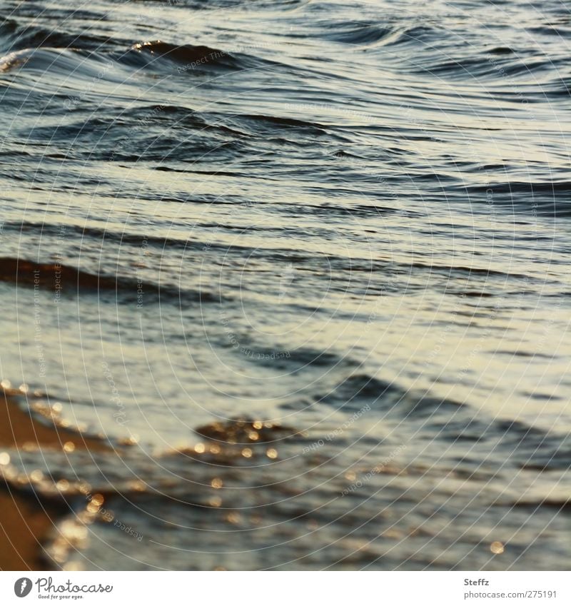 Light moments at the Baltic Sea Ocean light moment Maritime soft waves Beach Water Waves coast Lakeside Calm Seaside atmopshere quiet in the evening light blue