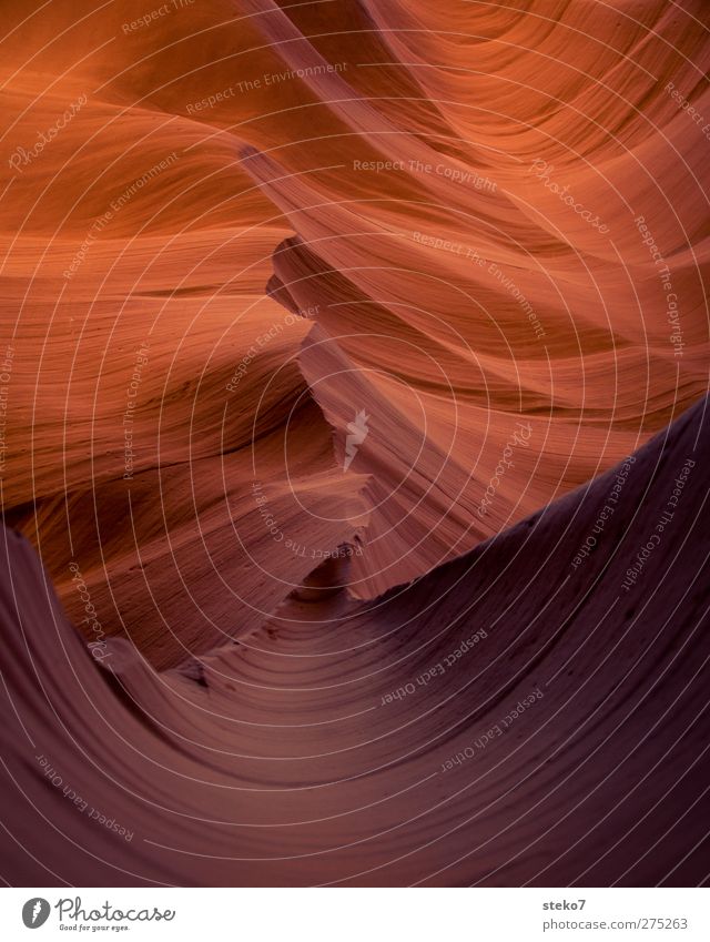 structural integrity Rock Canyon Elegant Round Violet Orange Red Antelope Canyon Smooth Structures and shapes Undulation Sandstone Subdued colour Exterior shot