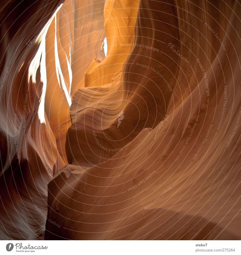 swell Rock Canyon Round Yellow Gold Antelope Canyon Undulation Corridor Tunnel vision Subdued colour Exterior shot Deserted Deep depth of field