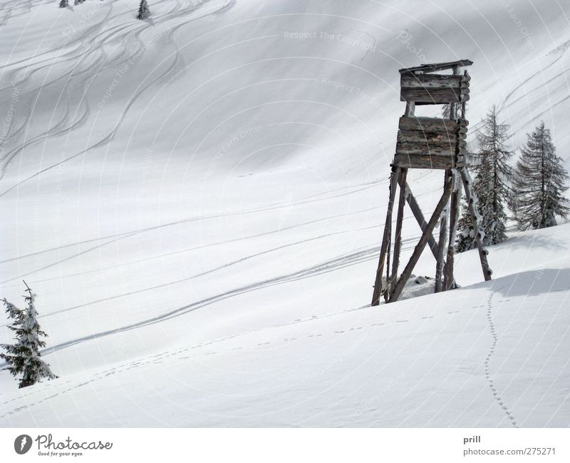 skiing in Wagrain Tourism Winter Mountain Sports Winter sports Ski run Landscape Hill Hunting Blind Fresh Cold White Idyll european alps alpine skiing Austria