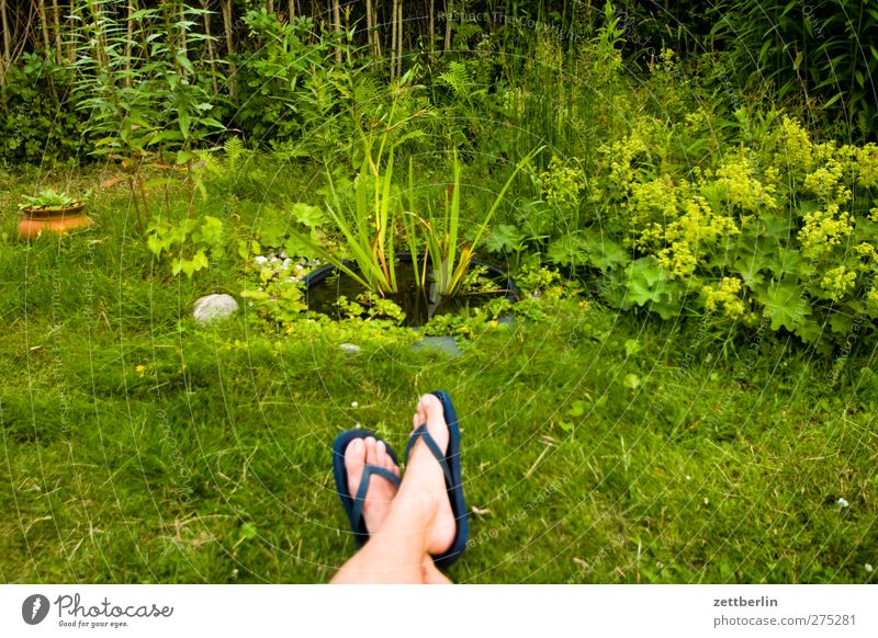 biotope Wellness Harmonious Well-being Contentment Relaxation Calm Leisure and hobbies Summer Garden Man Adults Legs Feet Environment Nature Plant Sit Peaceful