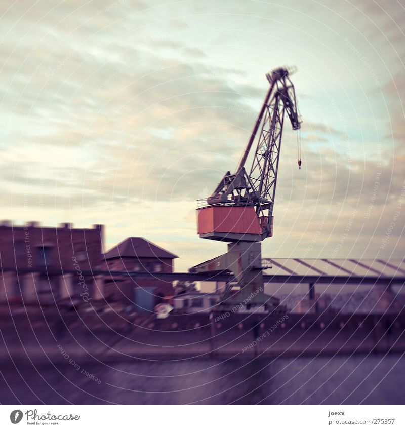 steel giraffe Industry Water Sky Clouds Deserted Factory Harbour Building Old Blue Red Black White Crane Dockside crane Colour photo Subdued colour