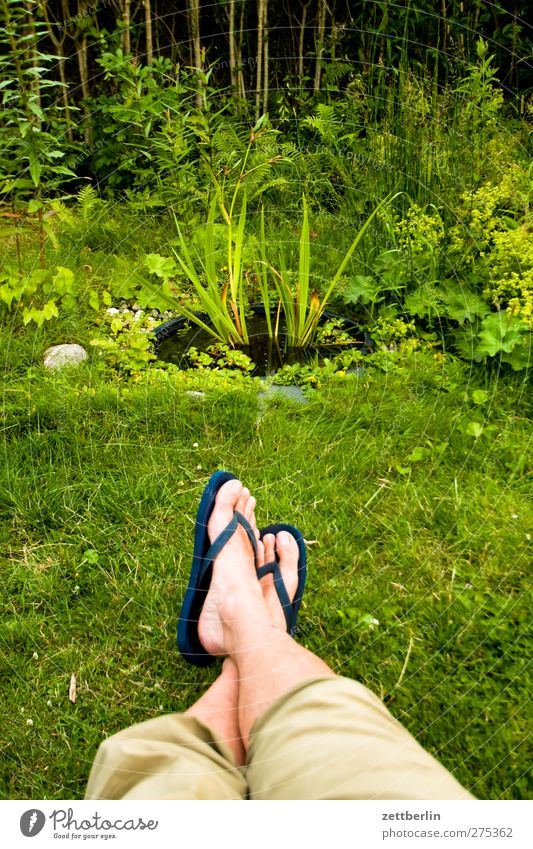 sea view Life Harmonious Well-being Contentment Relaxation Calm Summer Summer vacation Garden Man Adults Legs Feet Environment Nature Climate Climate change