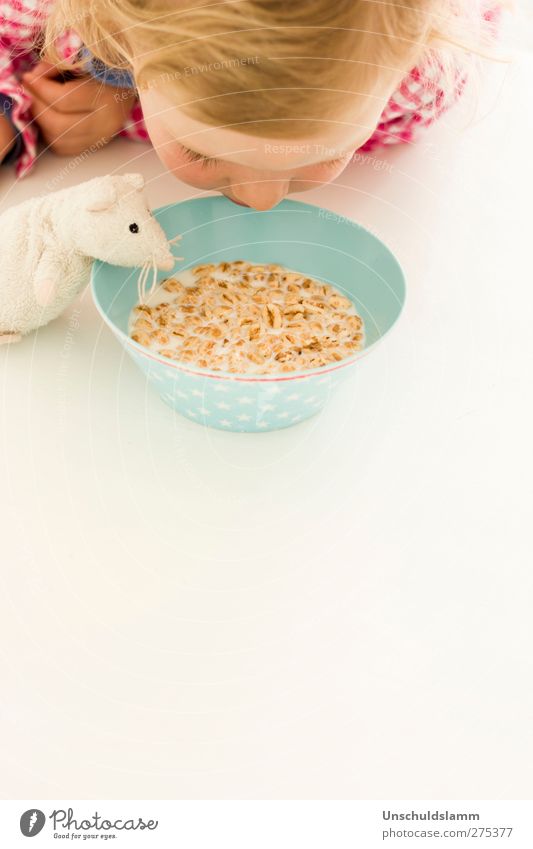 Breakfast for two Food Cereal Cereals Nutrition Eating Milk Bowl Joy Living or residing Flat (apartment) Human being Child Girl Infancy Head 1 3 - 8 years