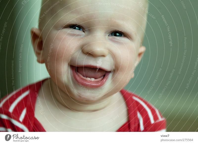 ticket clipper Human being Masculine Brother Infancy Head Face Eyes Ear 1 0 - 12 months Baby Observe Communicate Smiling Laughter Make Esthetic Authentic