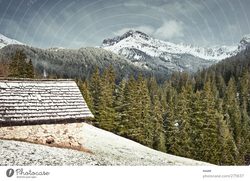 mountain hut Living or residing House (Residential Structure) Environment Nature Landscape Plant Elements Sky Spring Climate Beautiful weather Snow Meadow