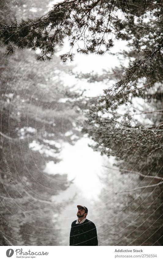 Tourist standing in snowy forest Man Street Stand Winter Forest Nature Snow Cold Frost Seasons Landscape White Beautiful Rural Frozen Beauty Photography Weather