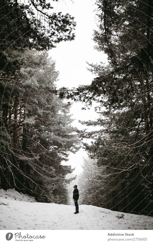 Tourist standing in snowy forest Man backpacker Street Stand Winter Forest Nature Snow Cold Frost Seasons Landscape White Beautiful Rural Frozen