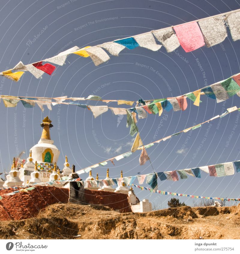 With the wind China Yunnan Temple Adventure Relaxation Religion and faith Tourism Dream Contentment Buddhism Tibet Flag Prayer flags Colour photo Exterior shot