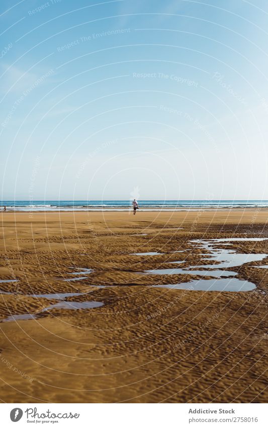 Anonymous man posing on beach Sand Beach Wet Summer Ocean Vacation & Travel Nature Human being Sunlight Leisure and hobbies Relaxation Tropical seaside Sunbeam