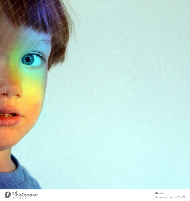 Up to here and no further Human being Child Toddler 1 1 - 3 years 3 - 8 years Infancy Looking Multicoloured Rainbow Prismatic colors Discover Curiosity