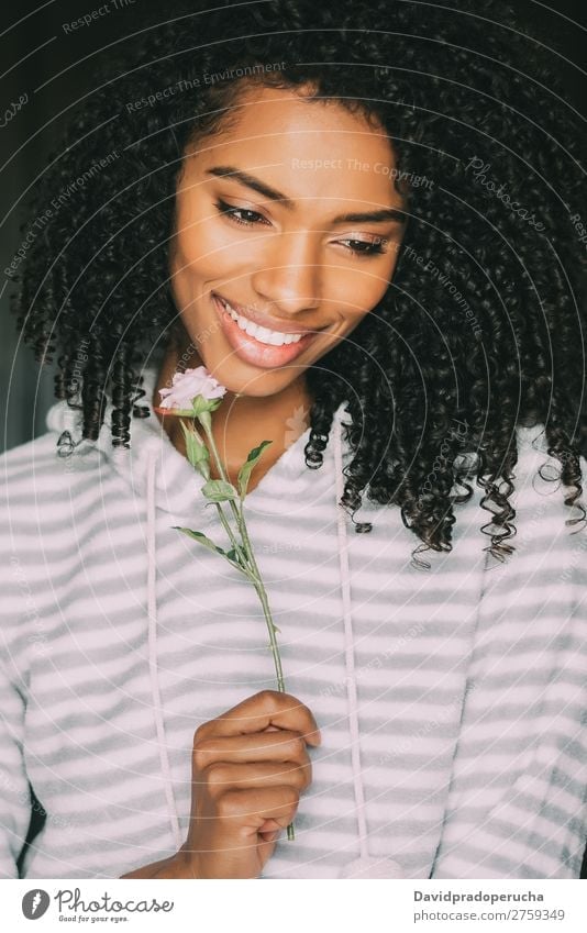 close up of a pretty black woman with curly hair smiling with a rose flower sit on bed looking away Woman Bed Portrait photograph Close-up Lie (Untruth) Black