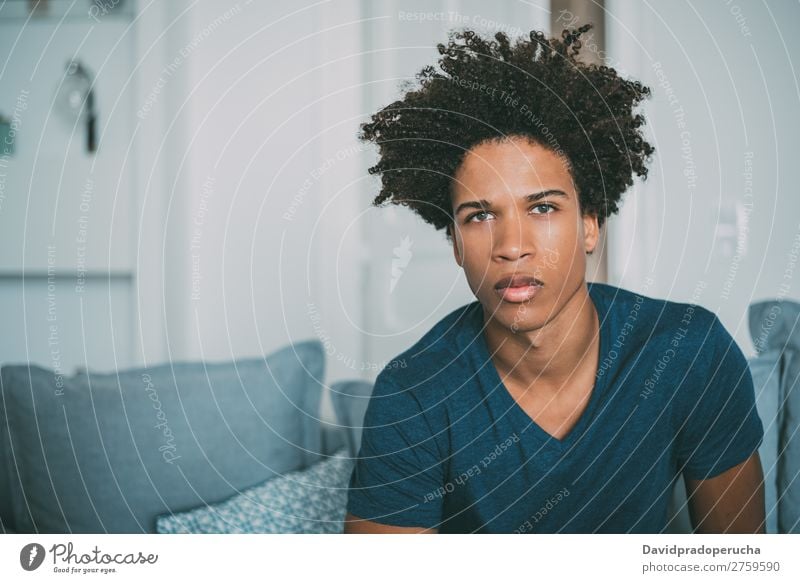 Portrait of a young thoughtful mixed race man sitting in the sofa Man Black Youth (Young adults) Portrait photograph Human being Mixed Racing sports American