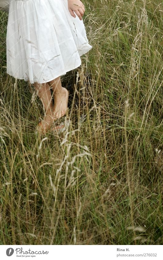 It's stinging! Girl 1 Human being 3 - 8 years Child Infancy Nature Summer Grass Meadow Dress Going Barefoot Search Colour photo Shallow depth of field