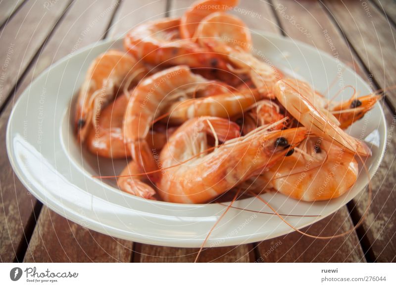 13,99 a kilo Food Seafood langustini Nutrition Delicacy Plate Animal Dead animal Crawfish Simple Fresh Healthy Orange Red White Appetite To enjoy Cooking