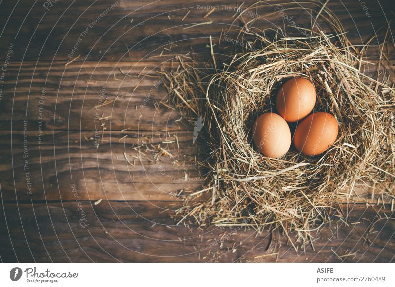 Fresh chicken eggs in the nest on a rustic background Nutrition Feasts & Celebrations Easter Group Grass Wood Above Brown Egg hen Chicken Nest straw Rustic Hay