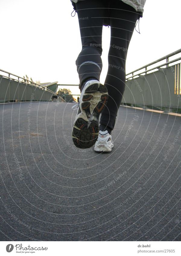 jogger shoe Jogging Leisure and hobbies Footwear Dog Sports Walking Running Movement Bridge