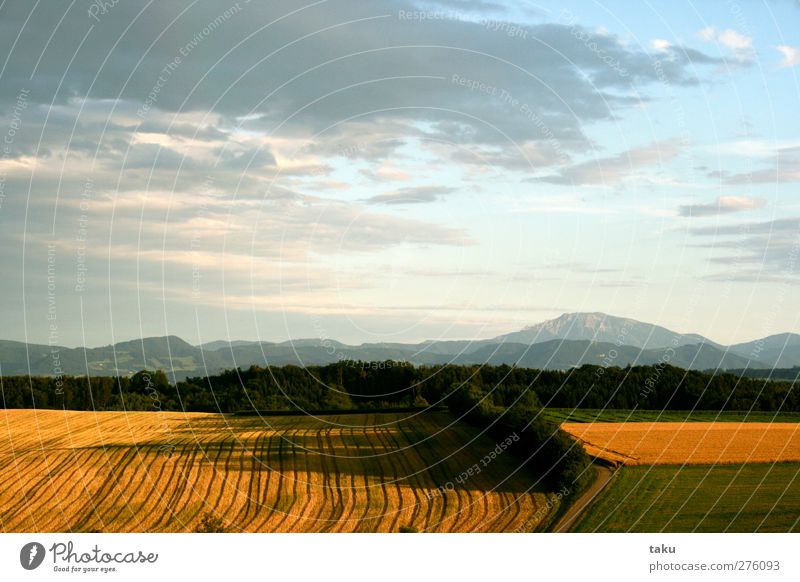 ...LINES... Nature Landscape Earth Sky Clouds Sun Sunlight Summer Beautiful weather Field Hill Mountain Brown Yellow Gold Green White Loneliness Moody Symmetry