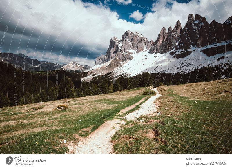 Hiking path to the Dolomites Panorama (View) Day Exterior shot Colour photo Target Nature Beginning Green Gray Brown Wild Natural Going To enjoy Sharp-edged