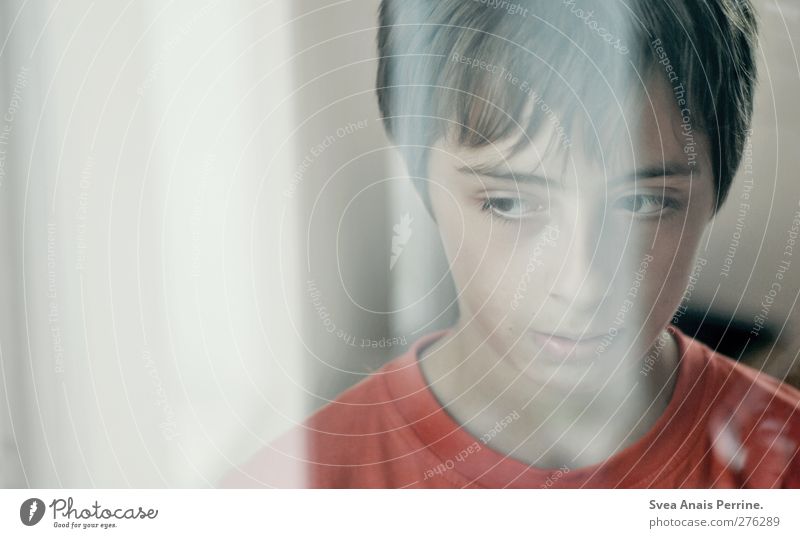 1100. Boy (child) Head Hair and hairstyles Face Human being 8 - 13 years Child Infancy Dream Sadness Emotions Reflection Colour photo Subdued colour