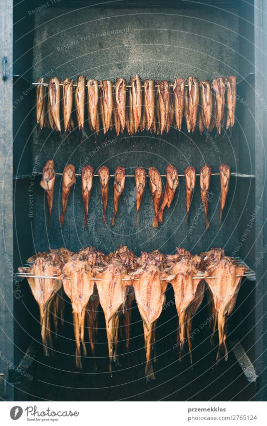 Rows of fishes in smoking chamber Meat Seafood Diet Ocean Industry Nature Fresh Delicious Natural background box Small room Delicacy health healthy many Meal