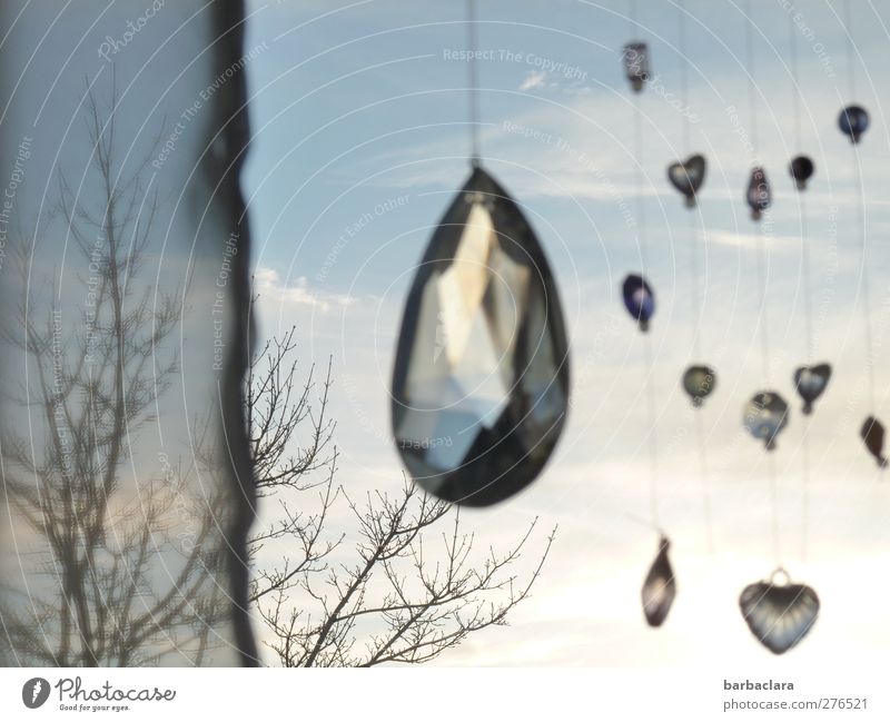 hanging around Living or residing Decoration Drape Sky Tree Window Glass Crystal Heart Sphere String Hang Illuminate Glittering Bright Blue Moody Happiness