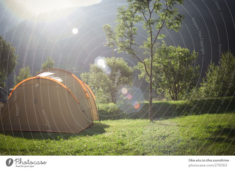 Good morning! Leisure and hobbies Vacation & Travel Tourism Trip Adventure Far-off places Freedom Camping Summer Summer vacation Mountain Hiking Nature Tree