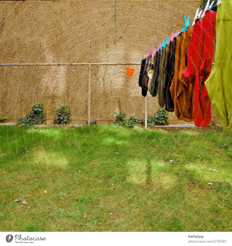 washed Living or residing Flat (apartment) House (Residential Structure) Garden Meadow Fashion Stockings Hang Laundry Clothesline Household Clothes peg Dry