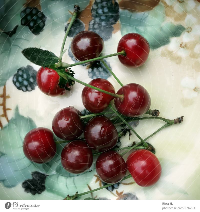 Cherries from neighbour's garden Fruit Cherry Blackberry Crockery Bowl Summer Leaf Fresh Healthy Delicious Natural Sweet Desert bowl Still Life Vitamin