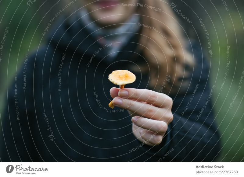 Crop person showing mushroom Human being Mushroom Collect Seasons Natural Indicate Autumn Action mushrooming Healthy picking Forest Plant Tourism Environment