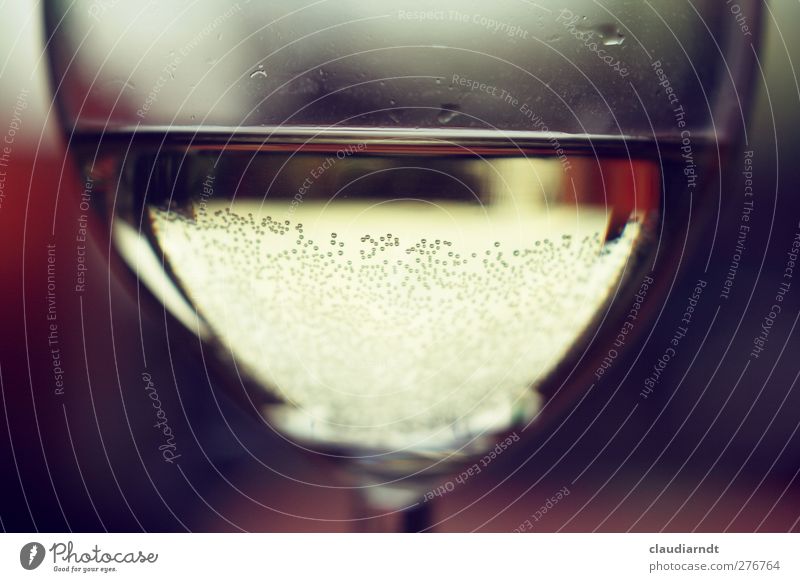 vino Beverage Wine Glass Drinking Delicious Wine glass To enjoy Bubbling Carbonic acid Air bubble Reflection Blur Fluid Colour photo Interior shot Close-up