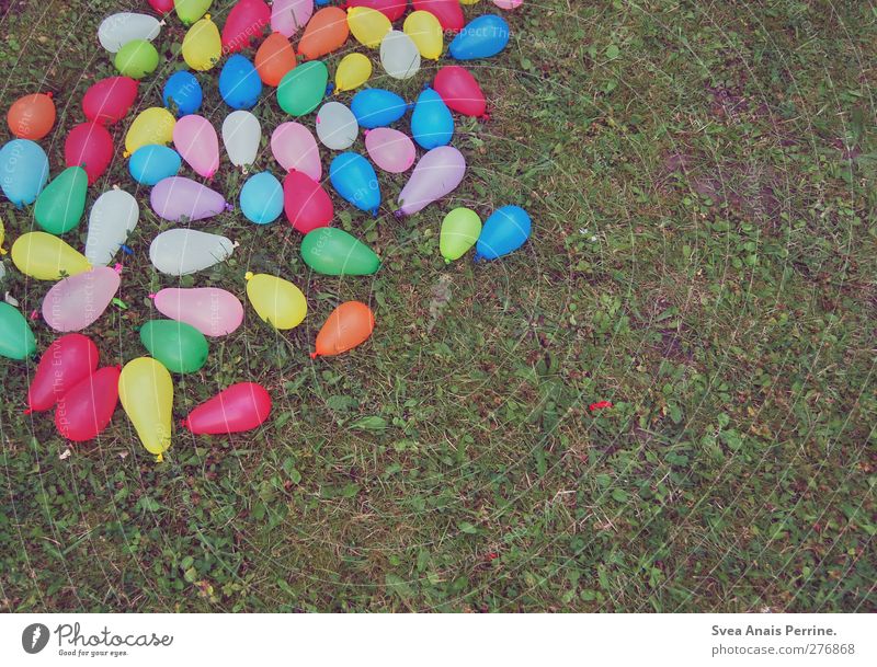 water bomb battle ahoy! Summer Beautiful weather Grass Meadow water bombs Balloon Lie Success Friendliness Happiness Small Wet Natural Blue Multicoloured Yellow