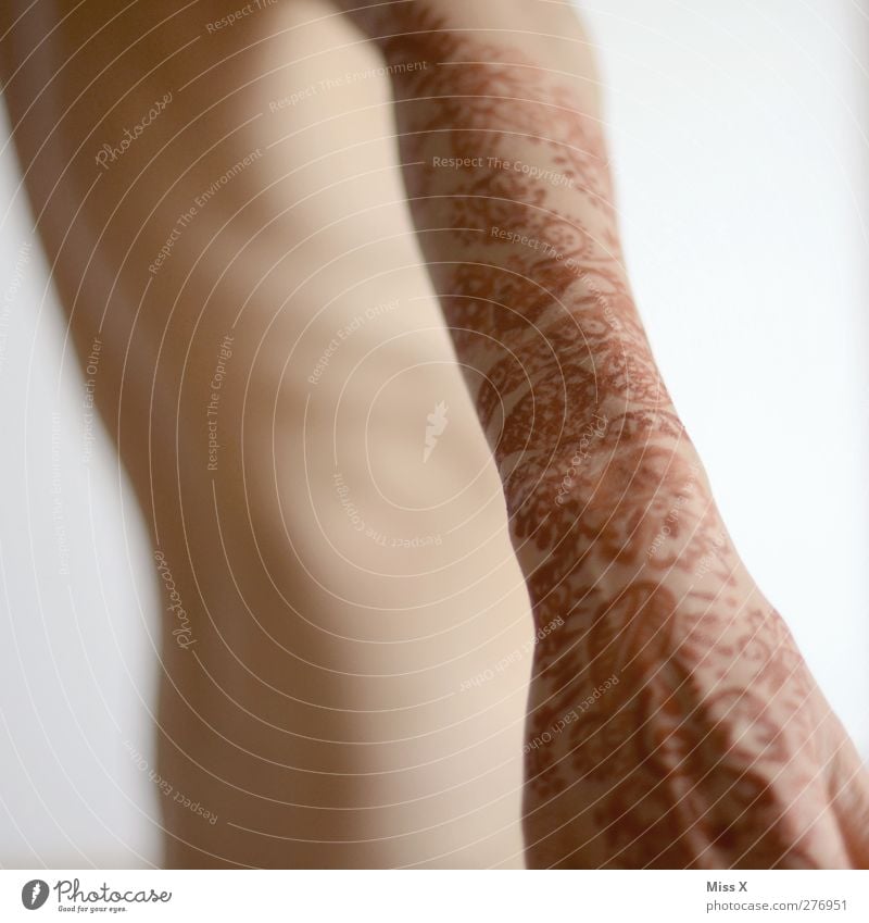 Not naked Human being Skin Arm 1 Sign Ornament Exotic Naked Naked flesh Tattoo Henna Henna painting Henna red Flowery pattern Colour photo Subdued colour