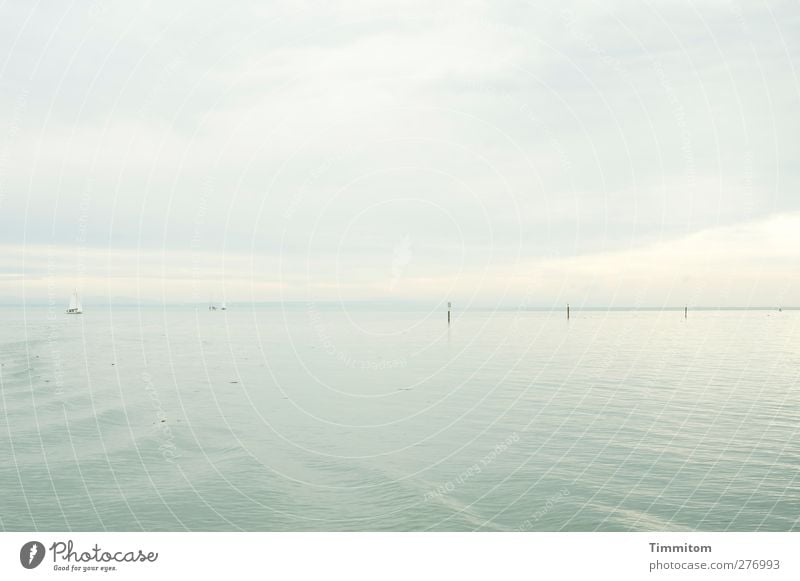 Grey expanse. Vacation & Travel Summer Aquatics Sailing Environment Nature Water Sky Clouds Esthetic Bright Gray White Calm Far-off places Lake Constance