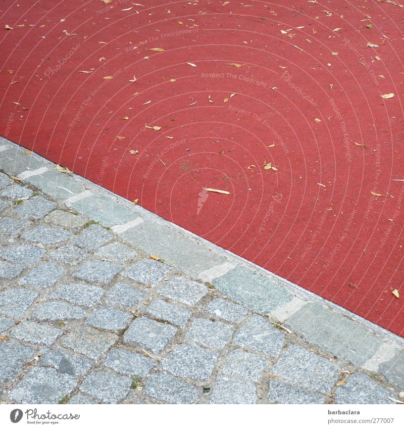 The red square Leaf Places Sidewalk Paving stone Floor covering Stone Line Diagonal Town Gray Red Esthetic Colour Culture Environment Lanes & trails