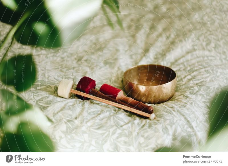 Singing bowl in a cozy home Lifestyle Healthy Medical treatment Harmonious Well-being Contentment Senses Relaxation Calm Meditation singing bowl Bowl Swing